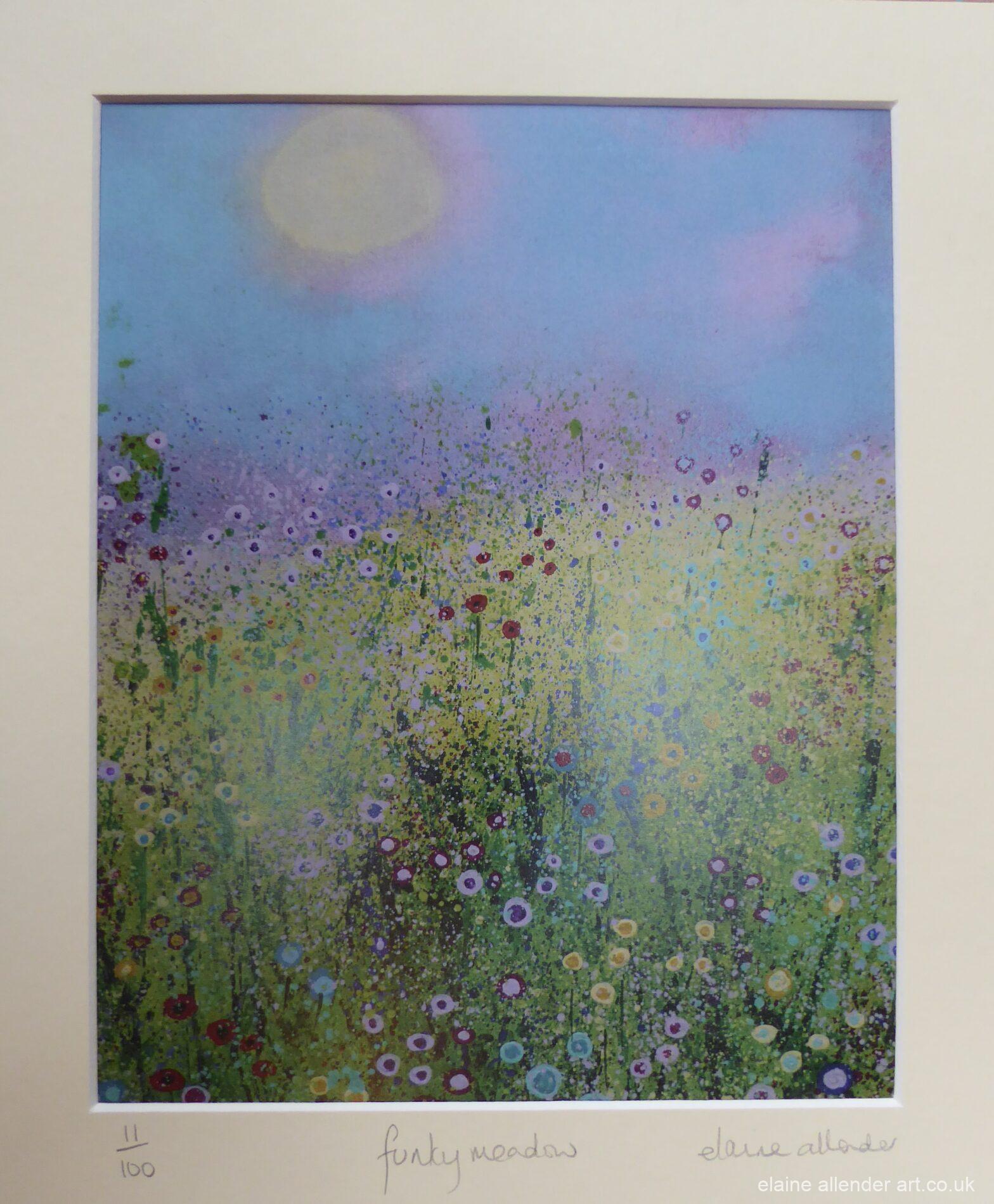 Funky Meadow